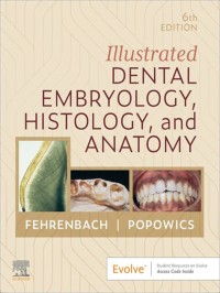 Image of Illustrated dental embryology, histology, and anatomy : 6th edition